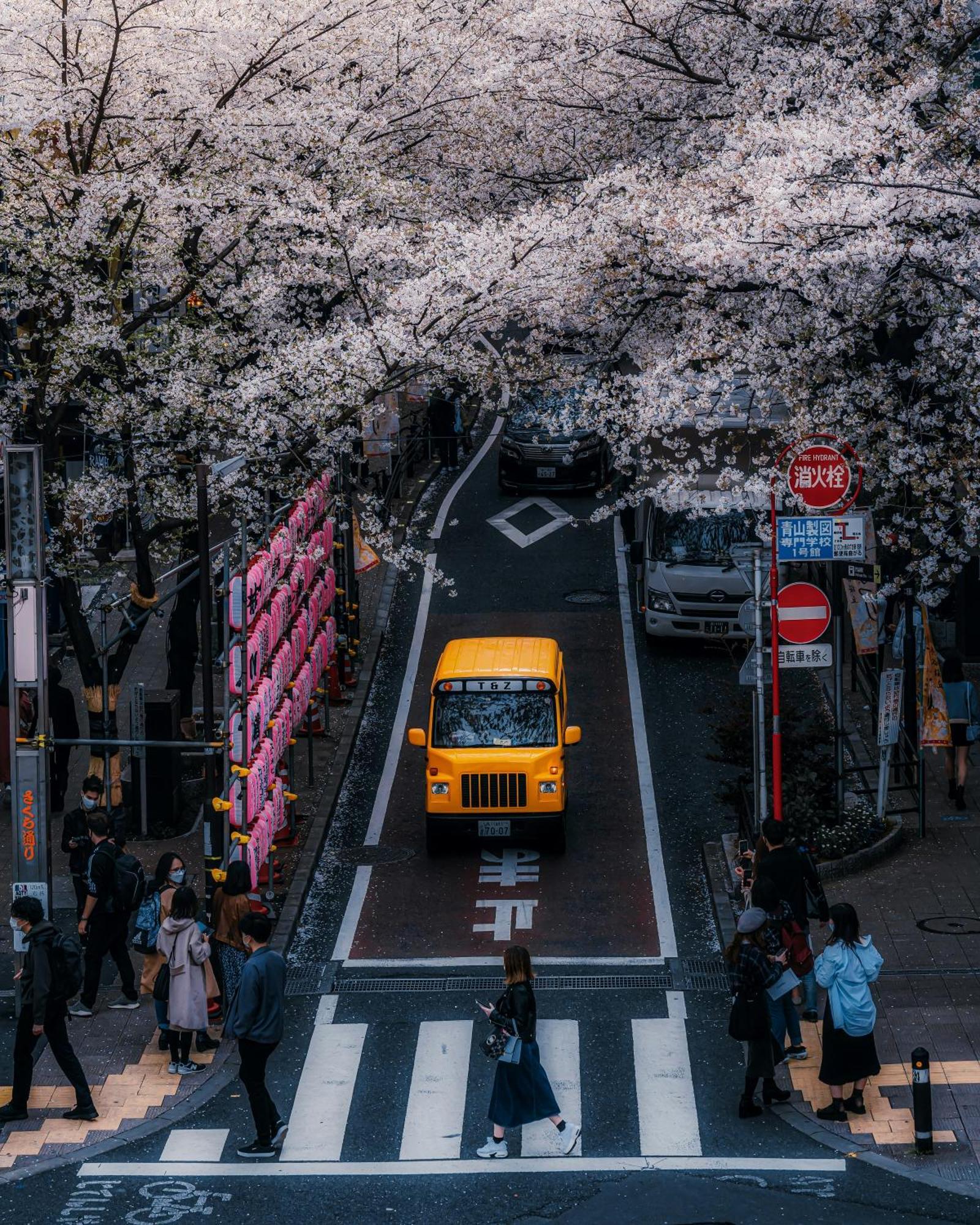 Illi Mani Shibuya Hotel Tokio Buitenkant foto